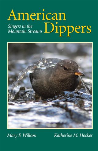 Dipper cover for hearthside