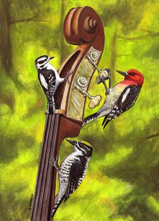 Hocker woodpecker card2