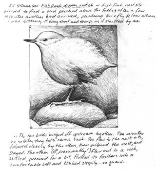 Hocker-dipper-sketch-2