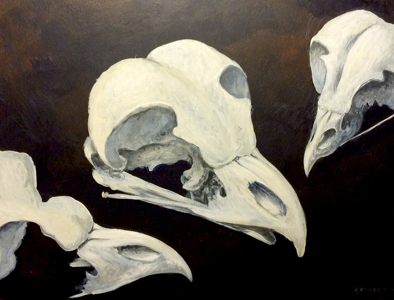 hocker-owl-conversation