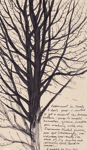 hocker-headache-tree