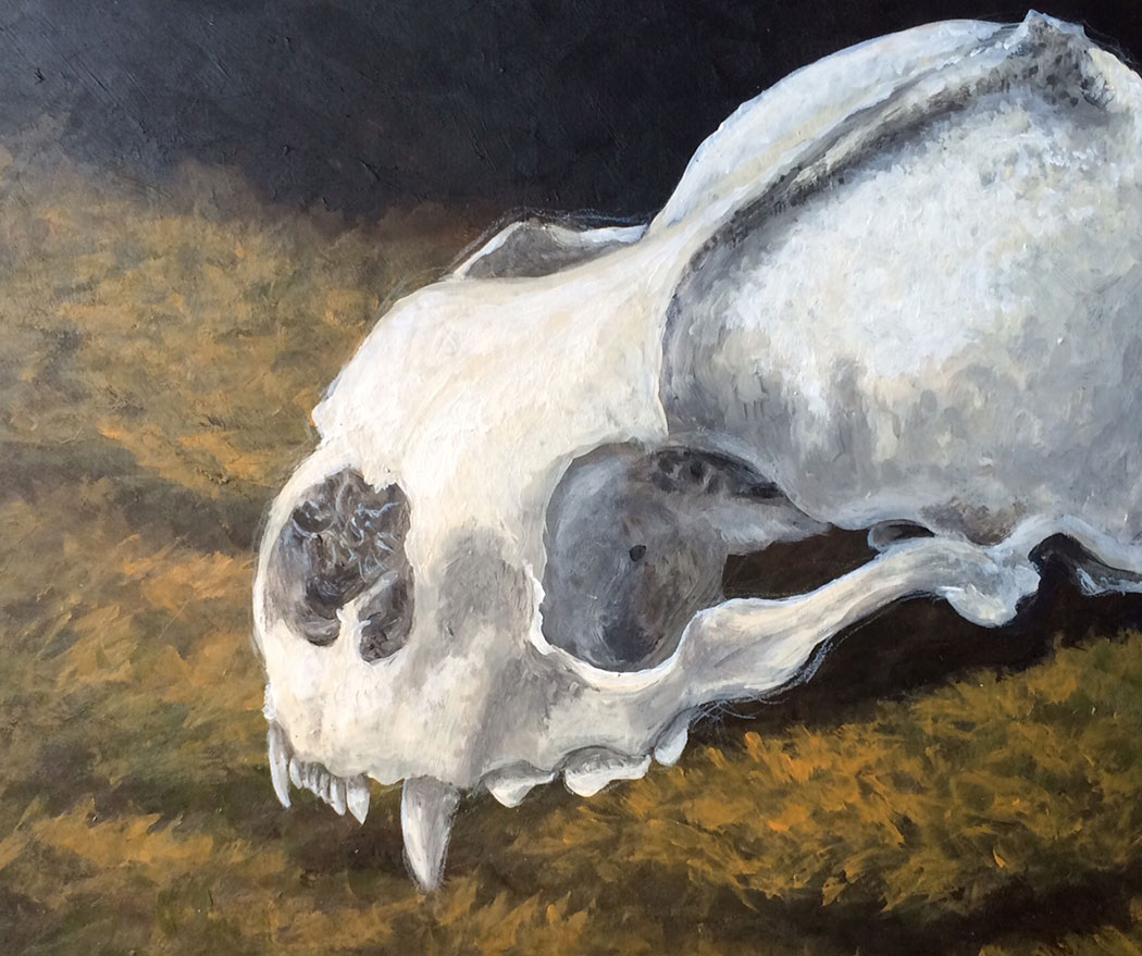 hocker-mossskull-in-progress