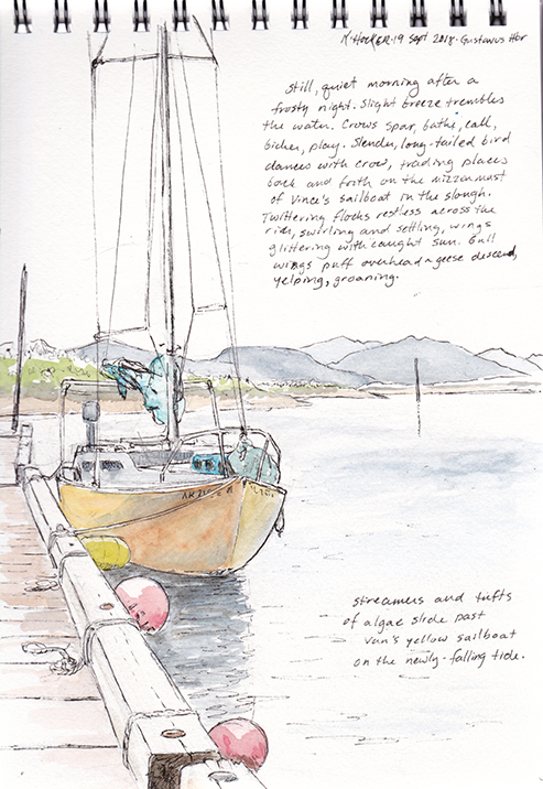 van's-sailboat-sketch-hocker-1