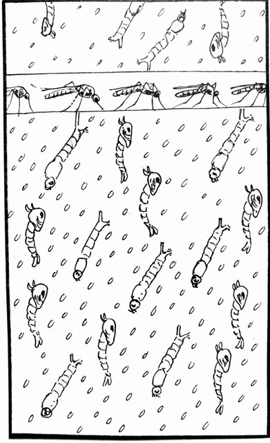 8C4C4965-3B7F-40BF-BFFA-62BC1DA98392